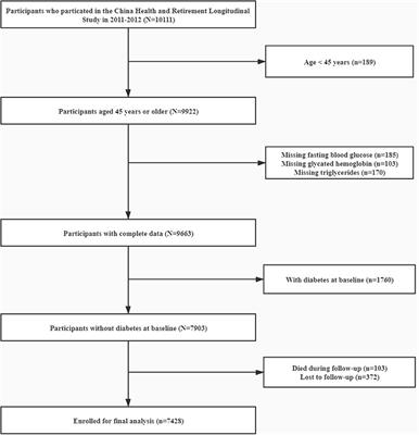 Association Between Triglyceride Glucose Index and Risk of New-Onset Diabetes Among Chinese Adults: Findings From the China Health and Retirement Longitudinal Study